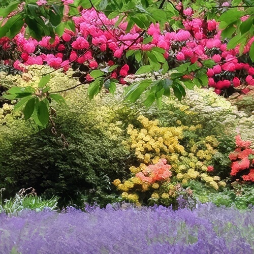 Swinton Estate Lunch & Guided Garden Tours & Talks